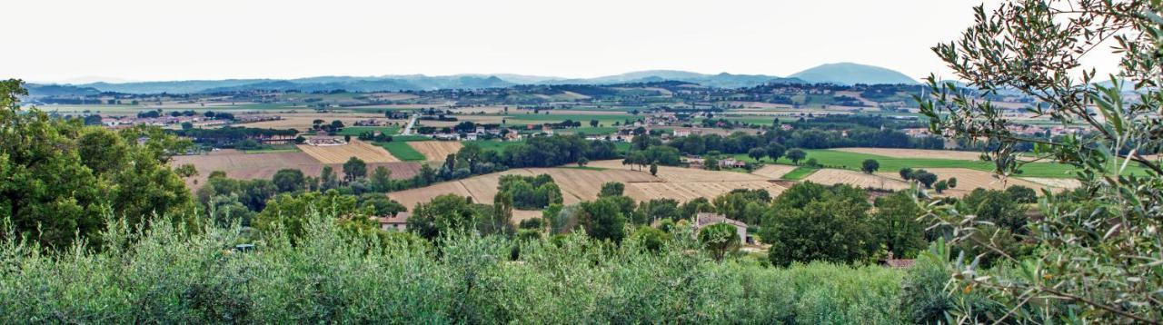Agriturismo La Palazzetta Di Assisi Villa Eksteriør billede